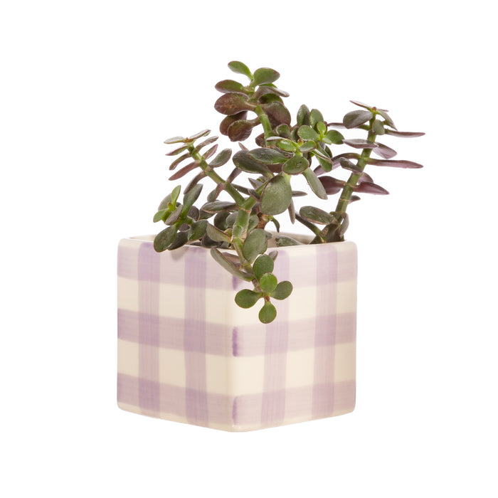 Gingham Planter Lilac