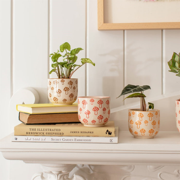 Mushroom Print Mini Planters Assorted