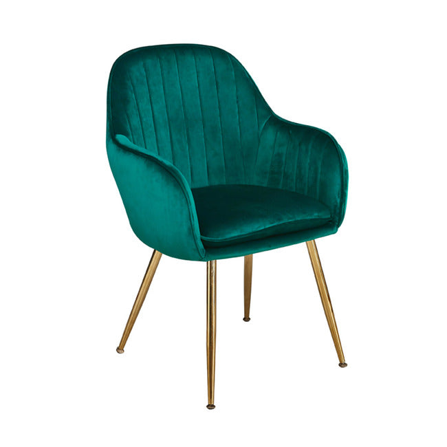 Lara Velvet Chair with Gold Legs (Set of 2)