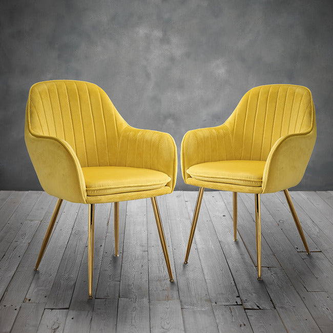 Lara Velvet Chair with Gold Legs (Set of 2)