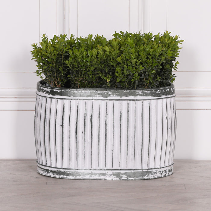 Dolly Tub Oval Metal Planter