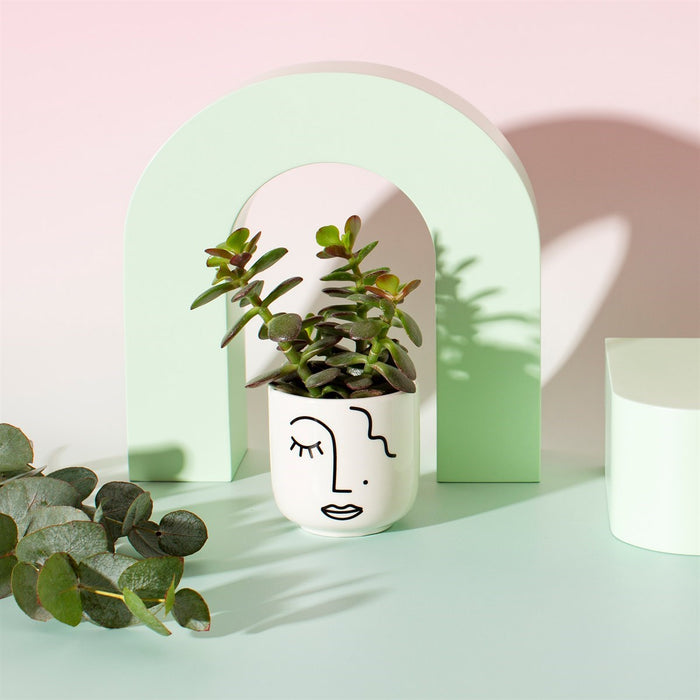 Abstract Face White Mini Planter